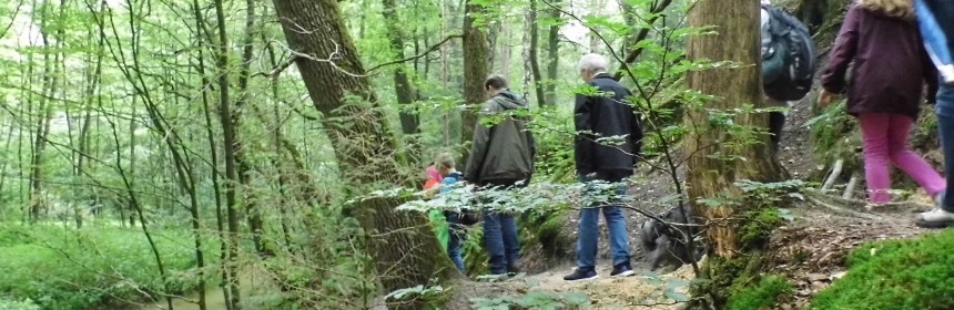 Furlbachtal