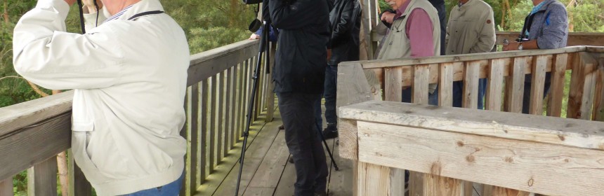 Foto: Ralf Külker